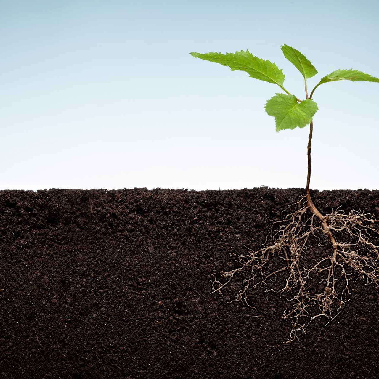 Practical application of key root cause analysis techniques - Feb 27